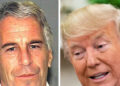 Epstein: ‘Trump una cattiva persona, nessuna cellula decente nel suo corpo’
