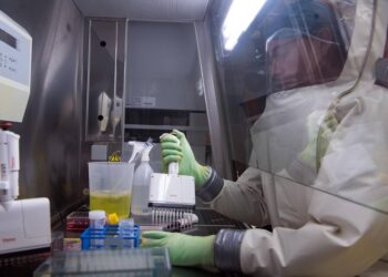 Virus Nipah, studio italiano: sorveglianza in tempo reale per prevenire nuovi focolai