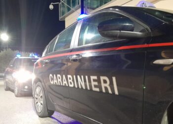 Aggredito e accoltellato nel Vibonese, grave un 36enne