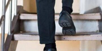 Salire (e scendere) le scale fa bene anche al cervello, lo studio